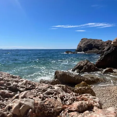 Korina Jelsa (Hvar)