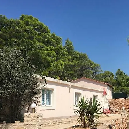 Korina Jelsa (Hvar)